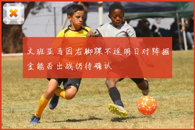 文班亚马因右脚踝不适明日对阵掘金能否出战仍待确认